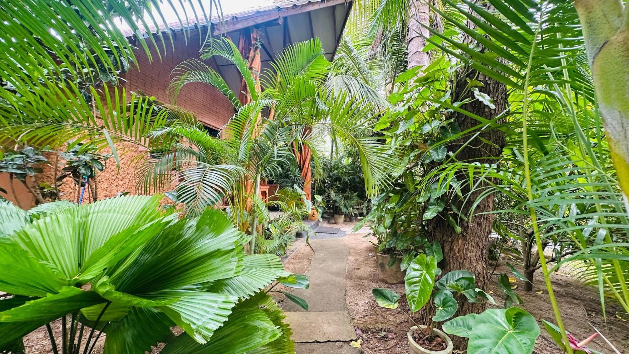 Ama Eco Lodge Sigiriya Exterior photo