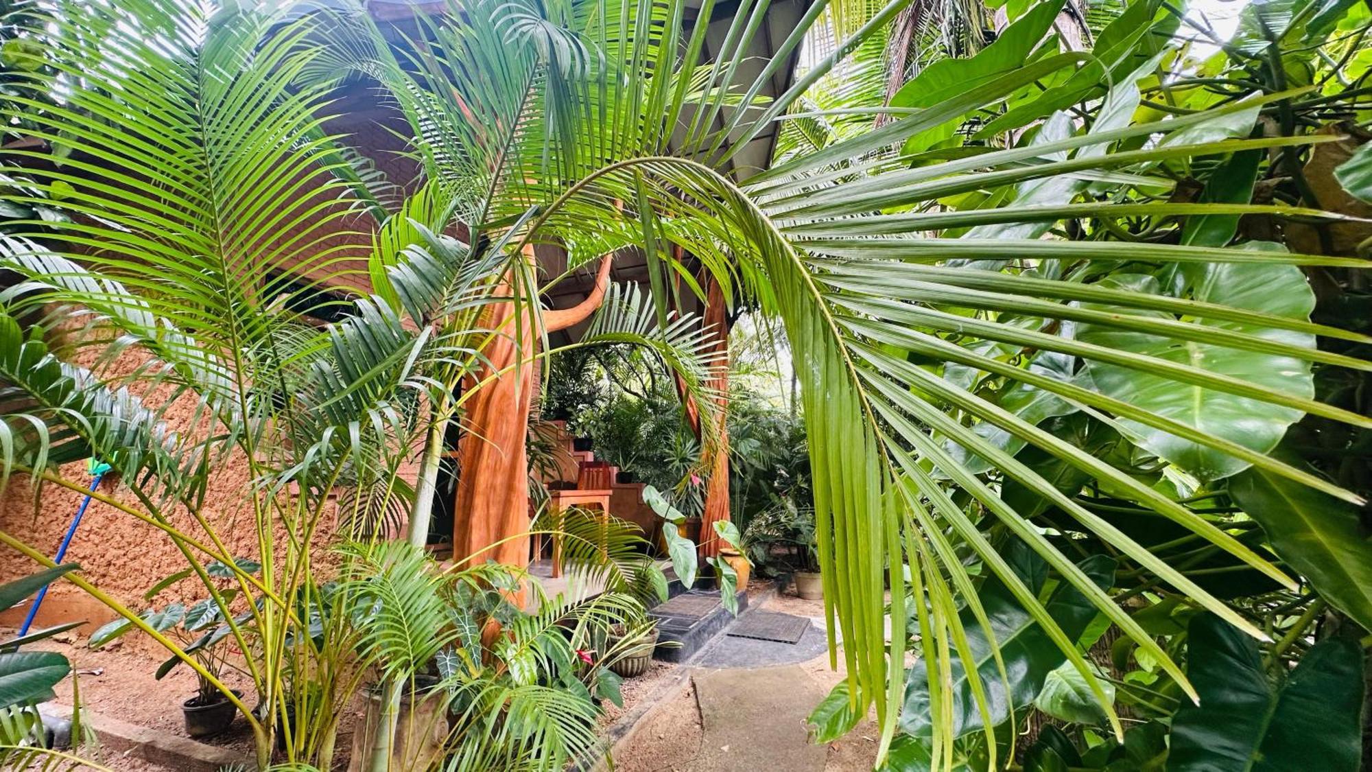 Ama Eco Lodge Sigiriya Exterior photo